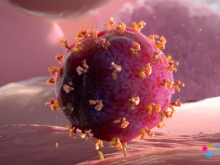 A Virus Attacks a Cell.